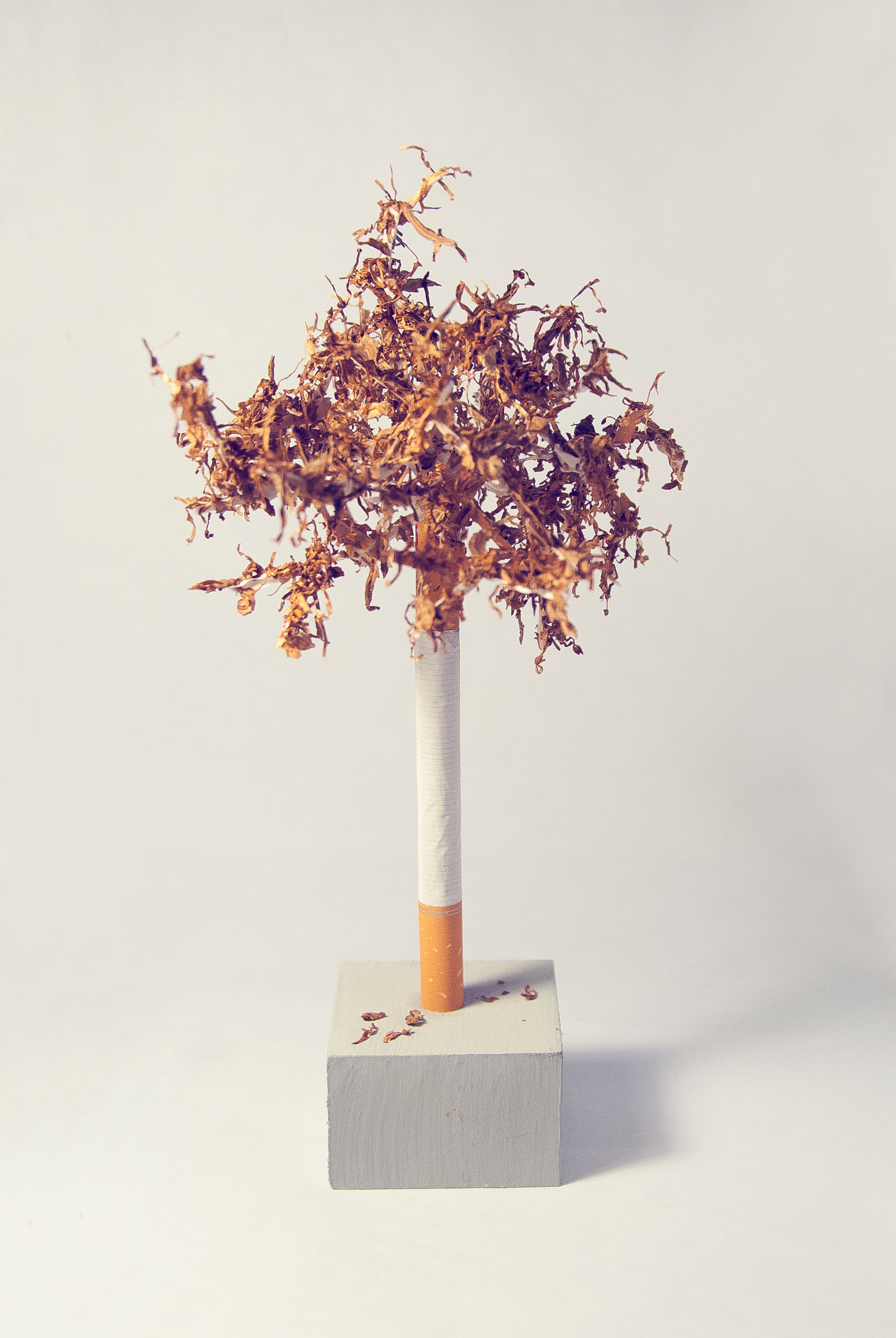 cigarette tree sculpture