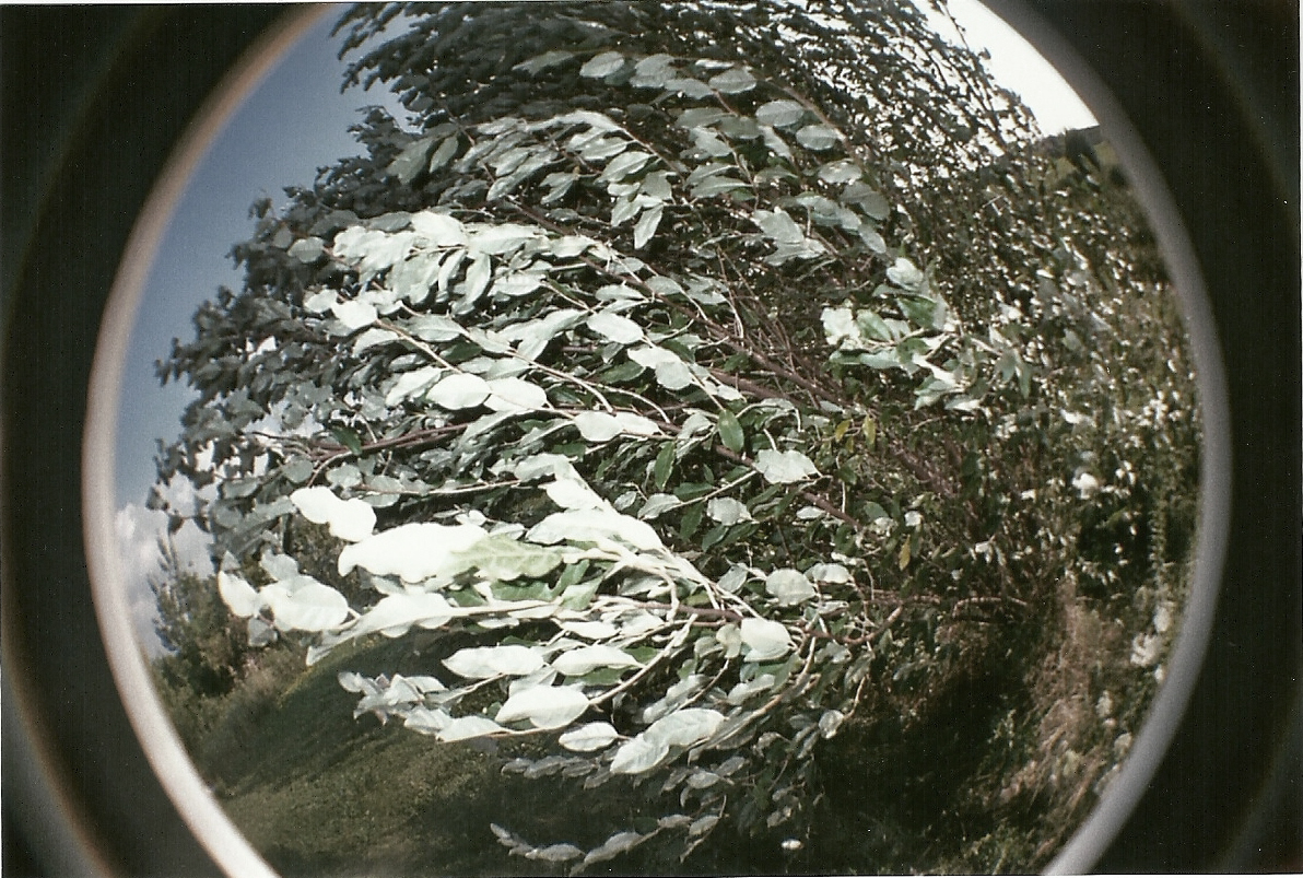 fisheye1